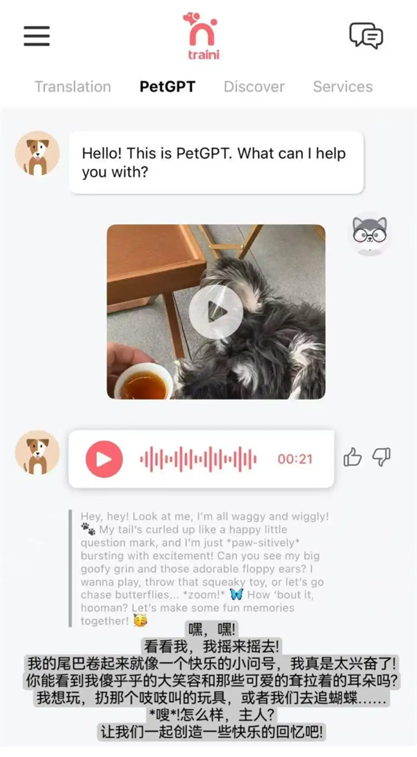 实现跨物种交流！AI人宠语言翻译软件大火：可检测宠物犬12种情绪